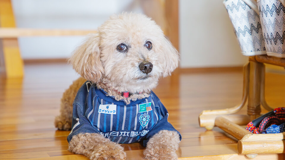 案内犬「ハナ丸」がお出迎え
みんなが心を通わせるお寺
