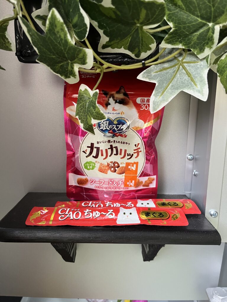 ごはんの写真
