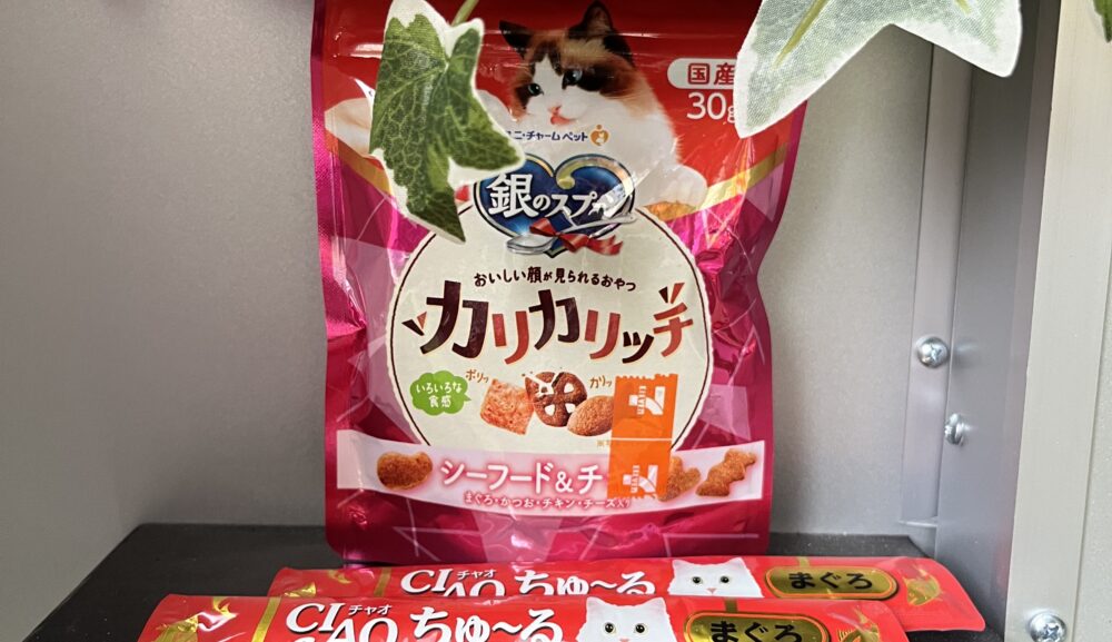 【実績報告･飯塚市】猫ちゃんの訪問火葬を行いました｜ペット訪問火葬ポピー