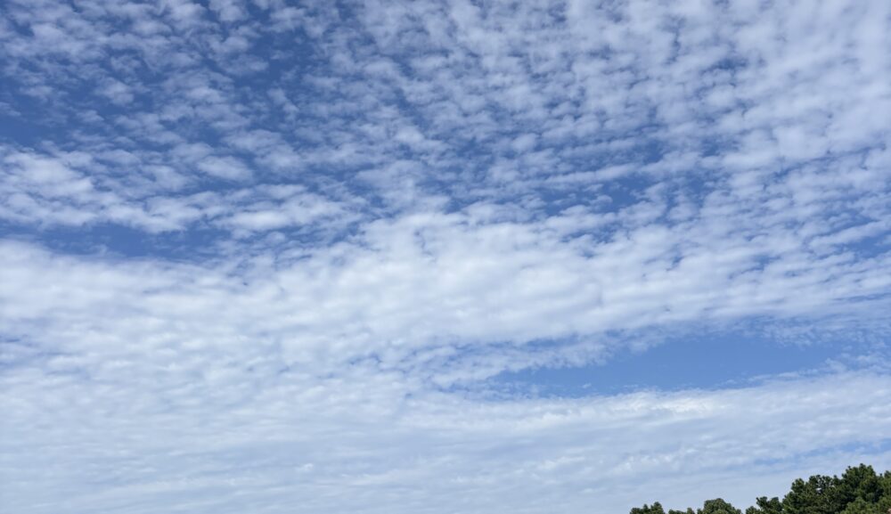 紅葉と御朱印の秋旅 ― 福岡･筑豊で出会う彩りとご縁の寺巡り