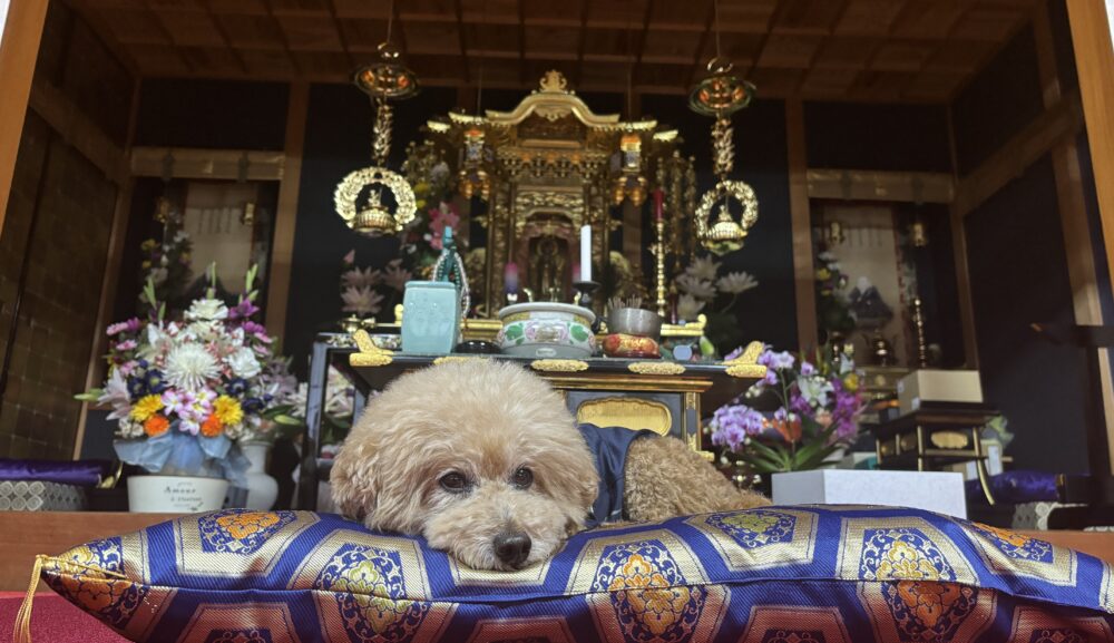 晩秋の福岡･筑豊を歩く ― 御朱印とともに心を満たす旅へ