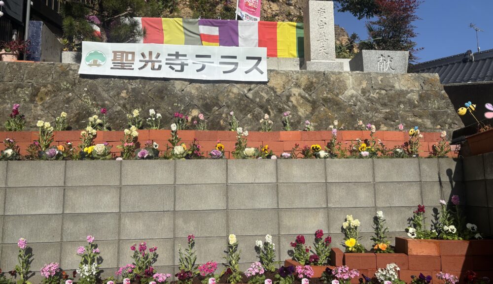 いよいよ開幕!!福岡フラワーショーに合わせた御朱印巡りプラン