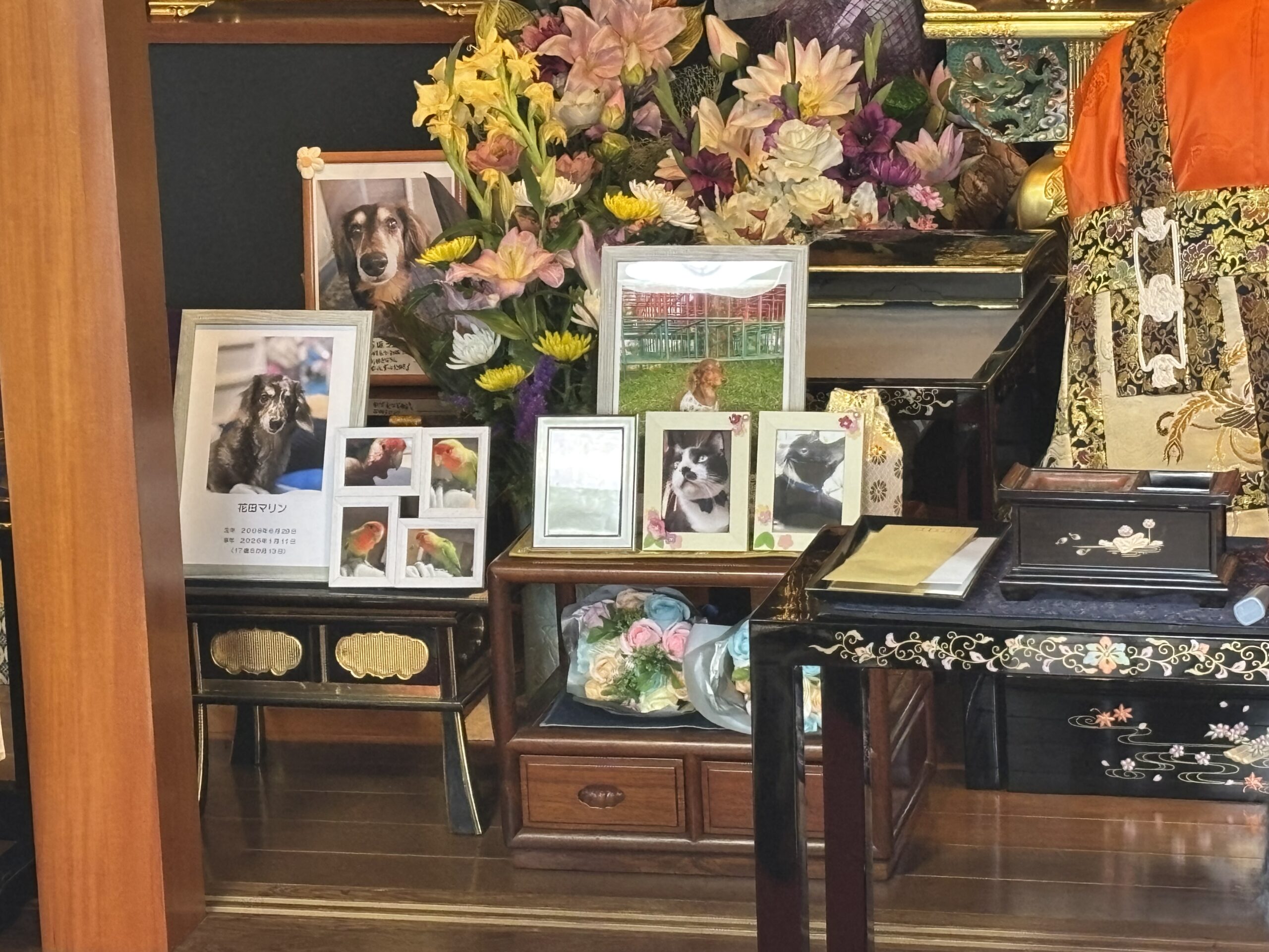 ペット合同供養祭に並んだお写真